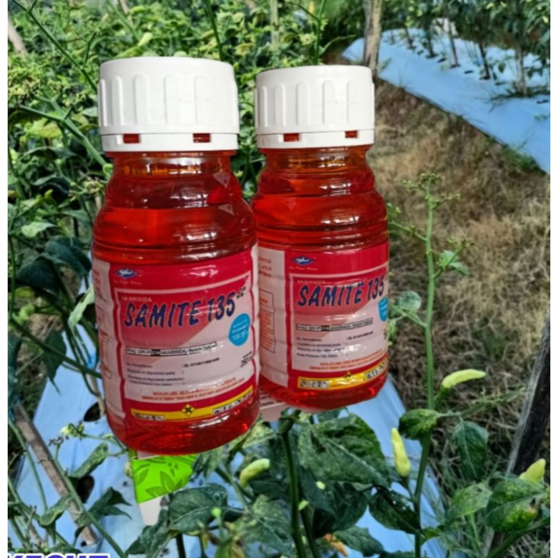 samite 250ml