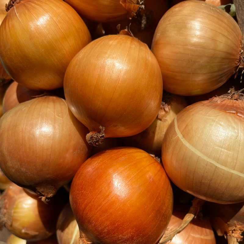 Bawang Bombay