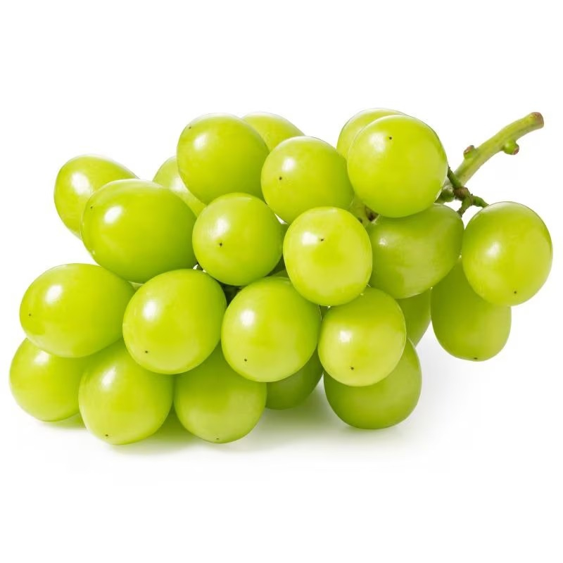 

ANGGUR SHINE MUSCAT PREMIUM PACK TERMURAH - SUKABUAH