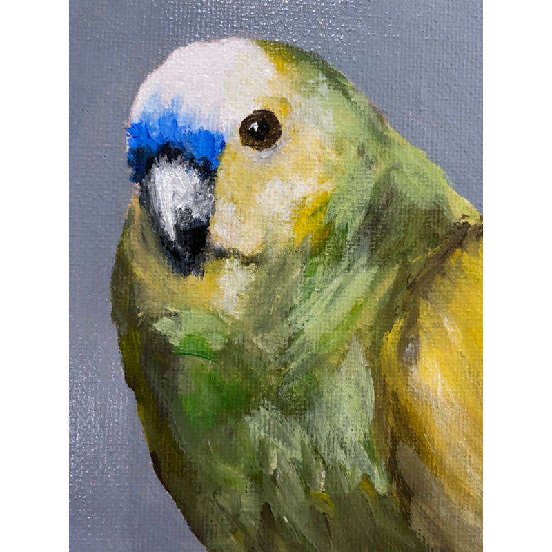 

HAND PAINTED ACRYLIC BIRD ON PANEL CANVAS (12,7x17,8cm) Pajangan/Hadiah