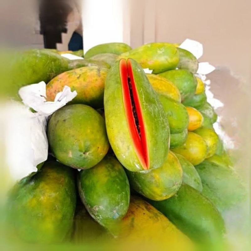 

pepaya California super