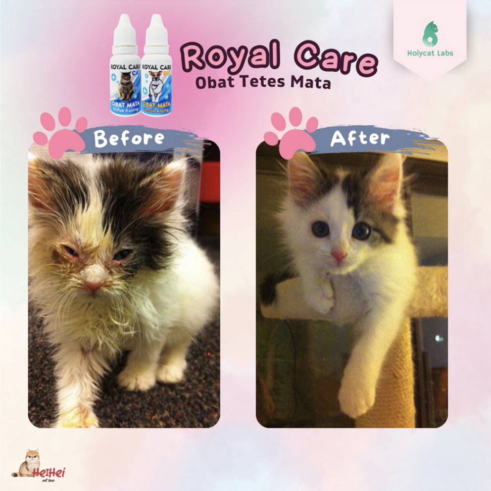 Royal Care Obat Mata Tetes Kucing 10 ML Ampuh Mengobati Mata Iritasi Bengkak Belekan - Healthy Eye Cat Kitten