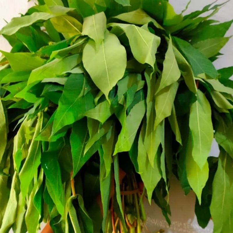 

sayur daun singkong