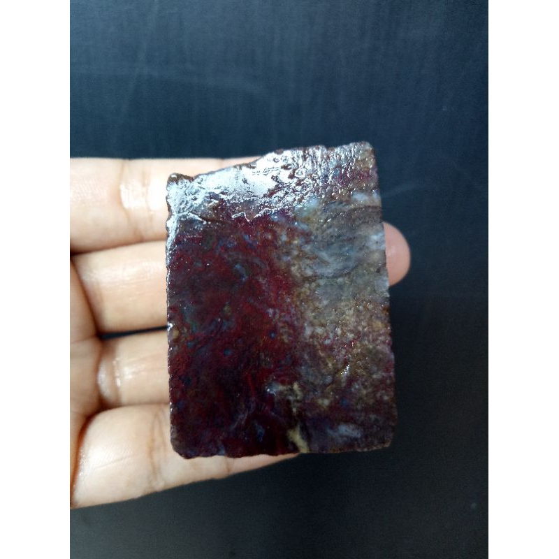 Rough Bahan Lumut Merah Suliki