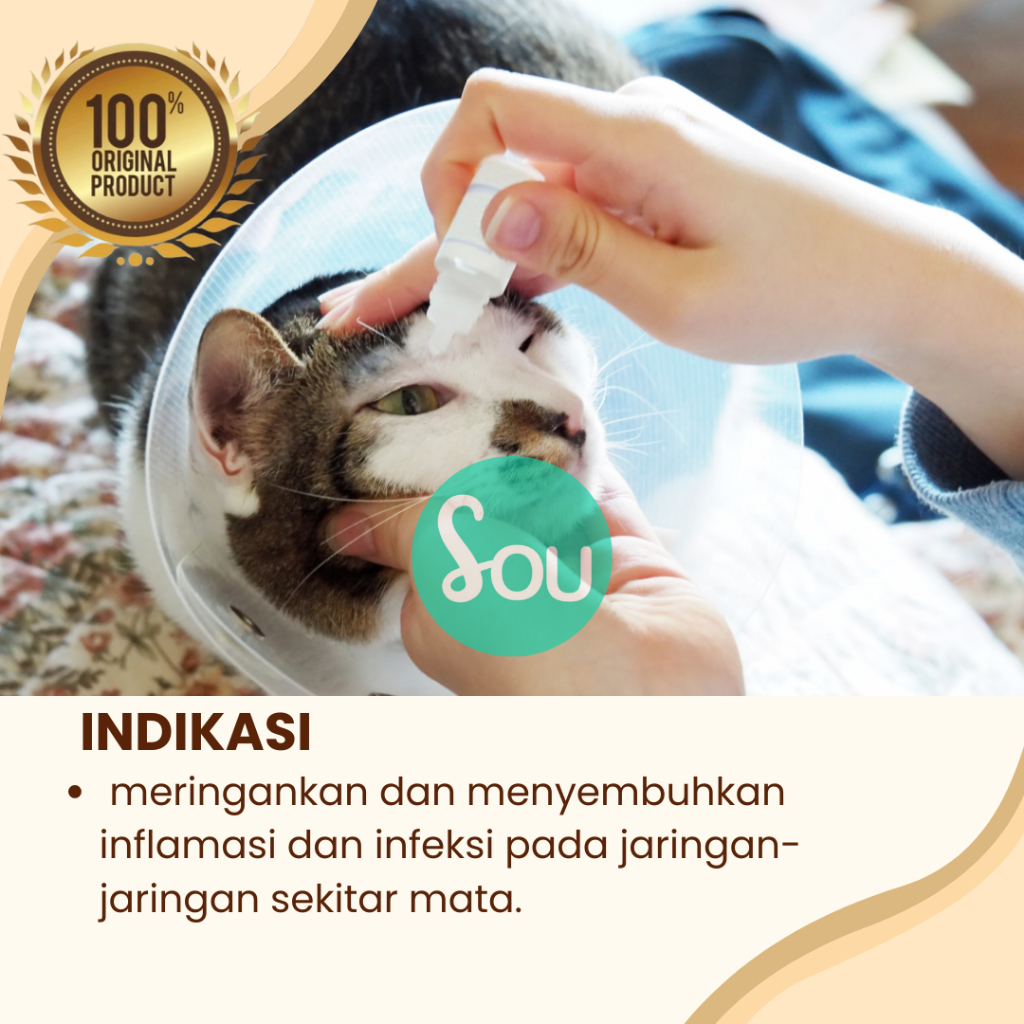 Obat Tetes Mata Kucing Kelinci Anjing Mata Iritasi Mata Belekan Eye