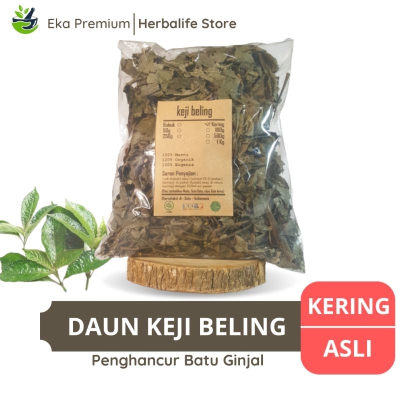 

DAUN KEJI BELING KERING Asli Penghancur Batu Ginjal Peluruh Ramuan Rempah Herbal Murni Jamu Minuman Sehat Kejibeling Tradisional Simplisia Strobilanthes Crispa