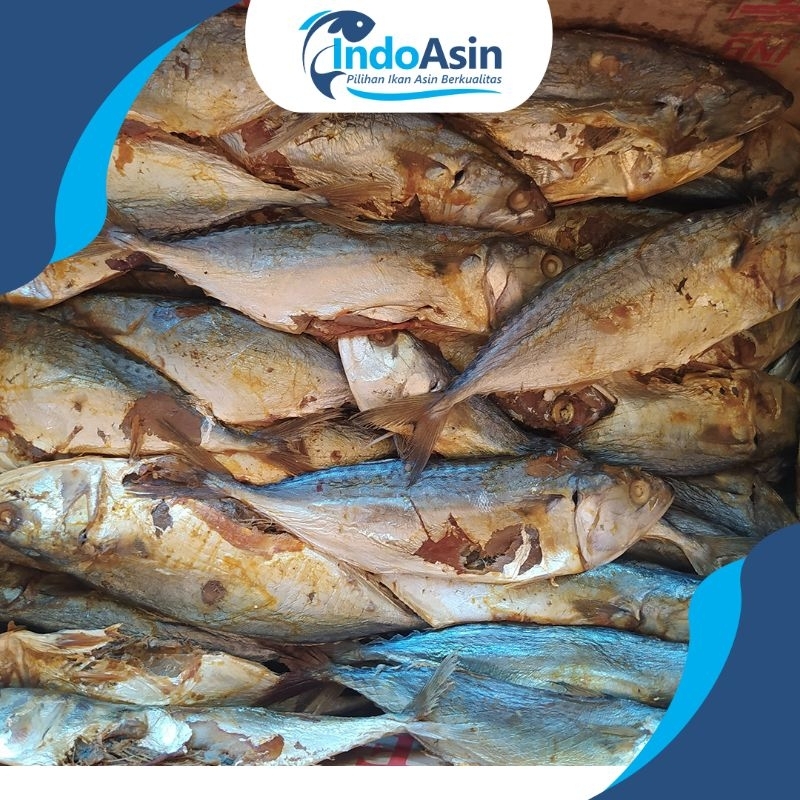 

Ikan Asin Peda 1kg kualitas Super Premium