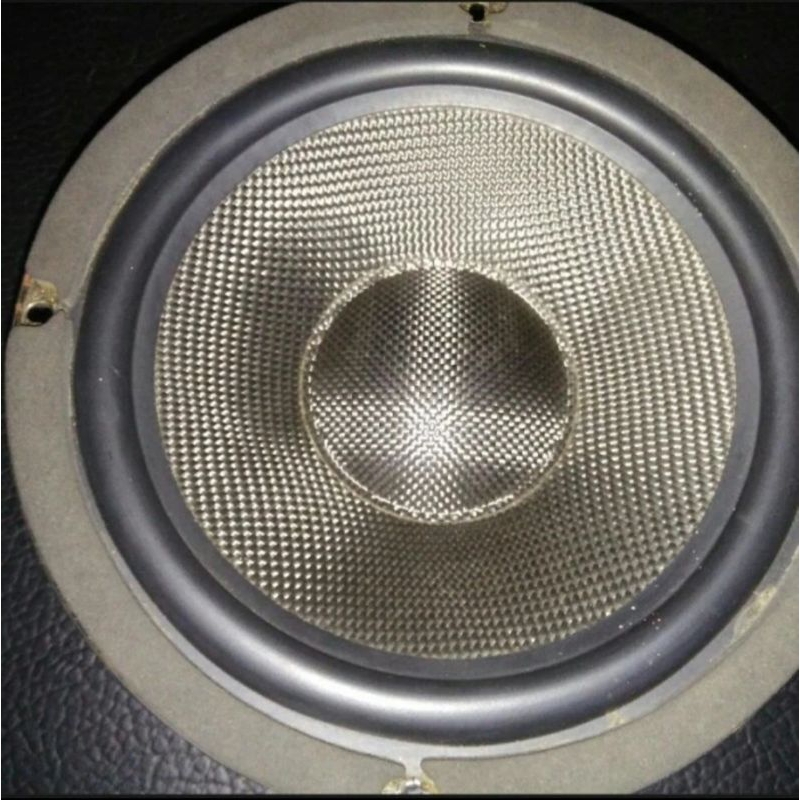 Speaker Subwoofer AUDAX 10 inch carbon fiber cone very RARE item