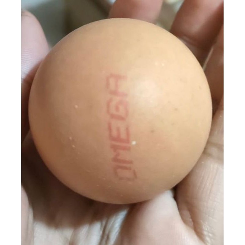

negri omega perbutir