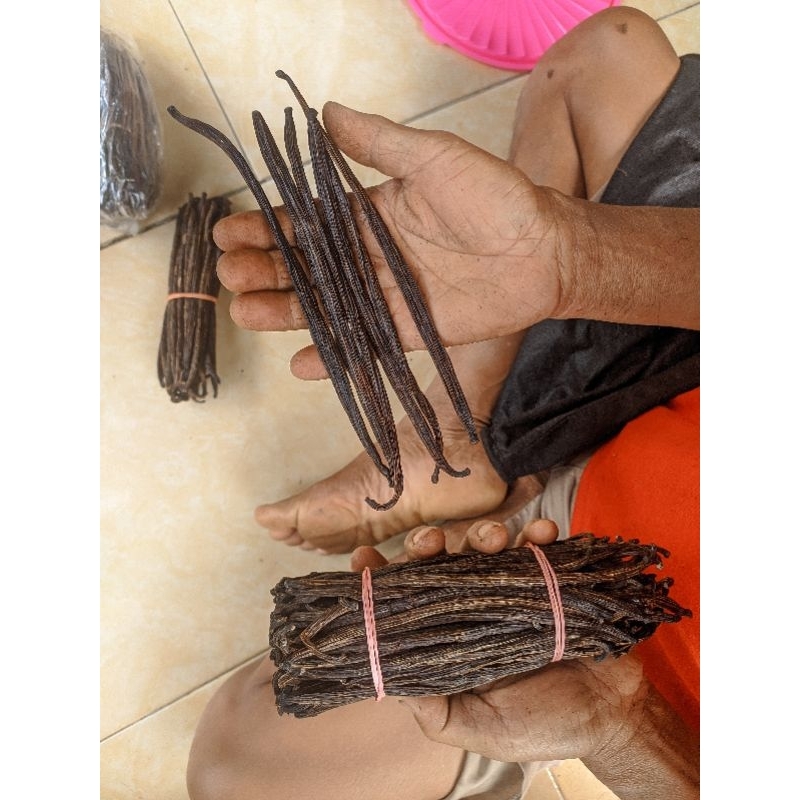 

vanili 1 batang murah wangi di panen dari petani langsung