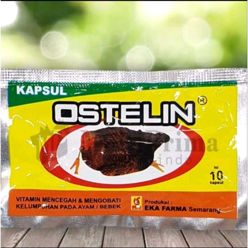 OSTELIN untuk mengobati kelumpuhan pada ayam & bebek