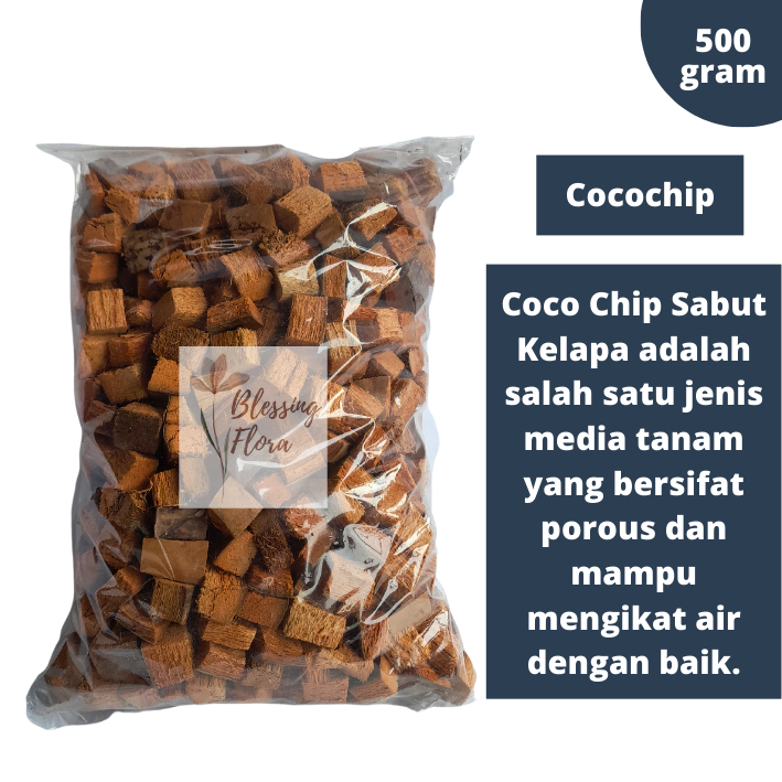 Cocochip Media Tanam Anggrek
