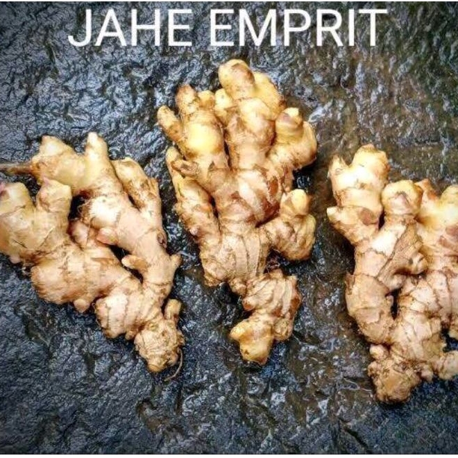 

100 GRAM JAHE EMPRIT SEGER FRESH(BERSIH)