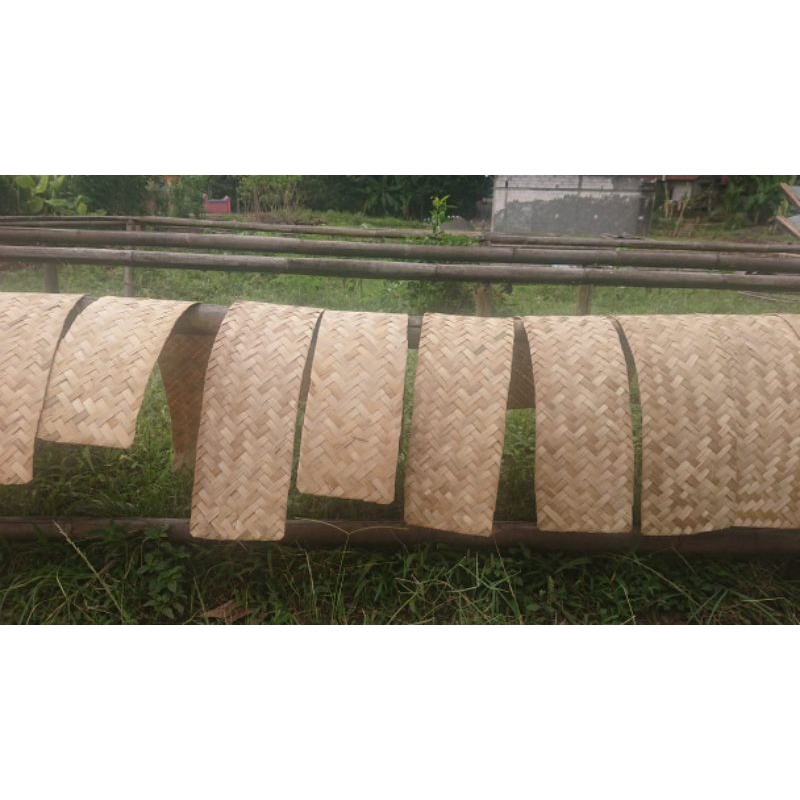 Cod Sirip Walet 15X100 20X100 Besek Walet Besek Sirip Pelapis Sarang Walet