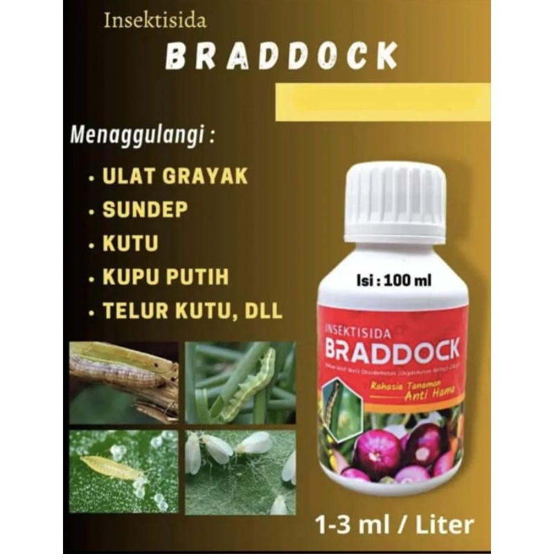 INSEKTISIDA PEMBASMI ULAT GRAYAK