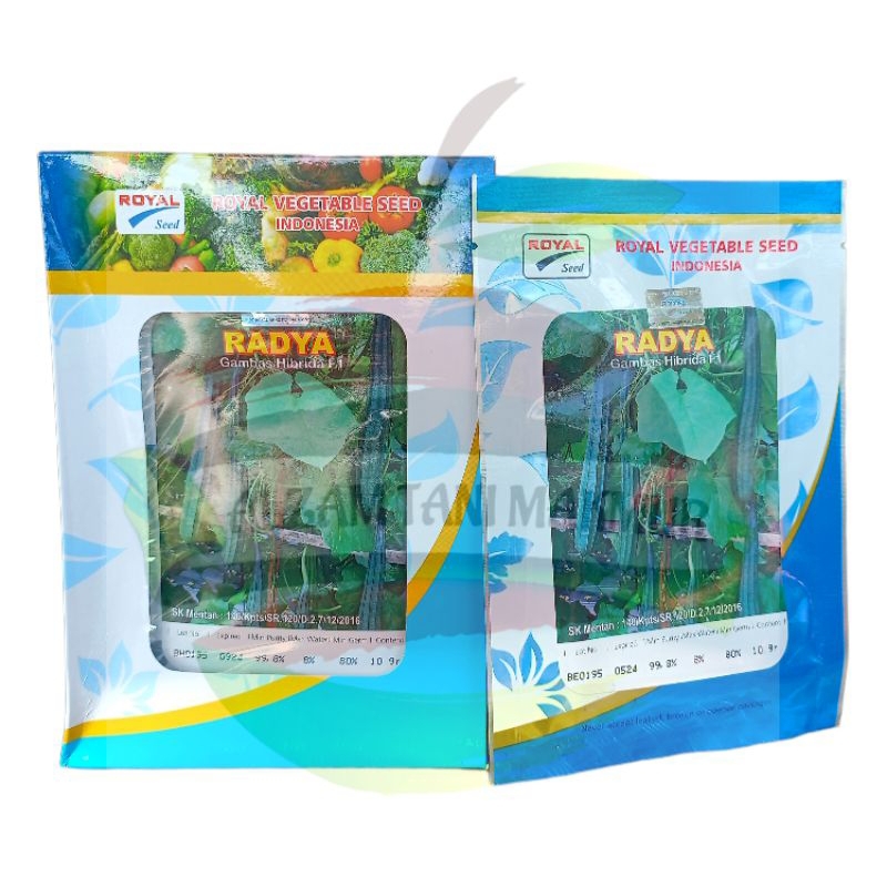 Benih Oyong RADYA F1 isi 10 Gram ROYAL SEED