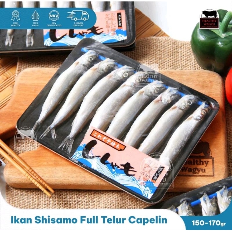 

Ikan Shisamo Full Isi Telur Capelin Pack, Ikan Shisamo Cipung