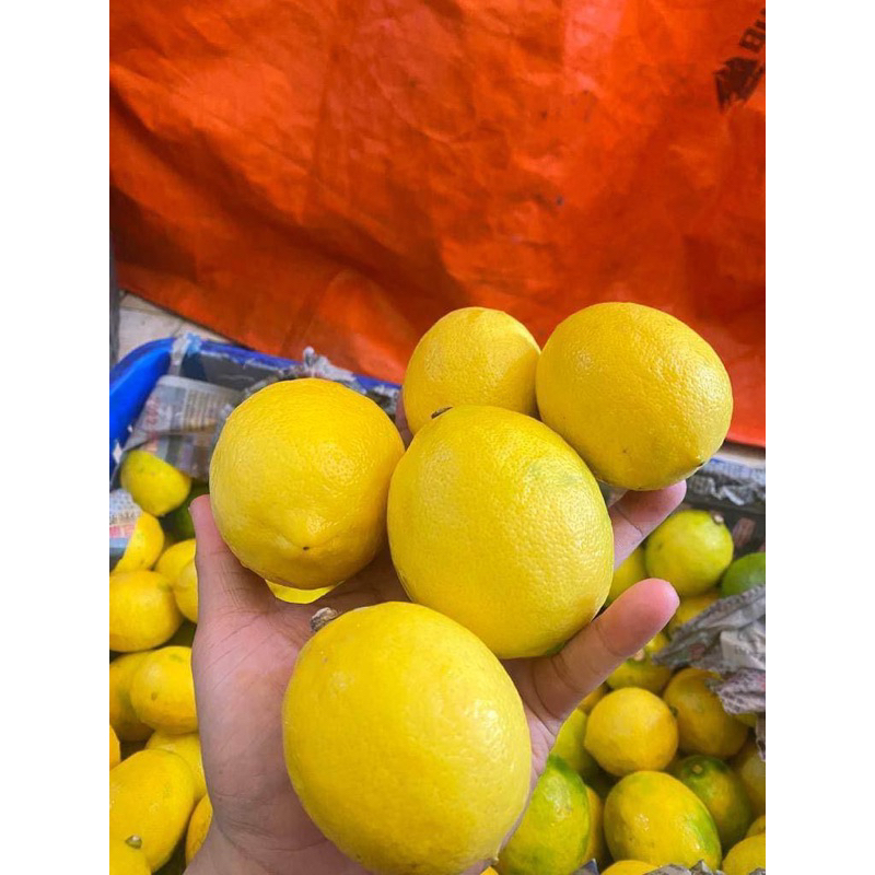 

Lemon California 1KG/ 1000gr (ISI 6-9 BUAH)