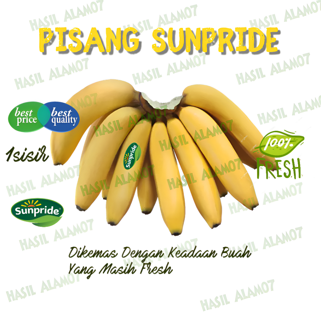 

Buah Pisang Cavendish Sunpride Manis Segar 1 Sisir