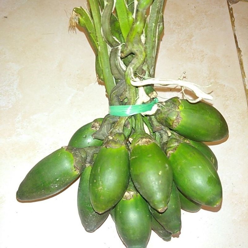 

BUAH PINANG JAMBE MUDA HERBAL