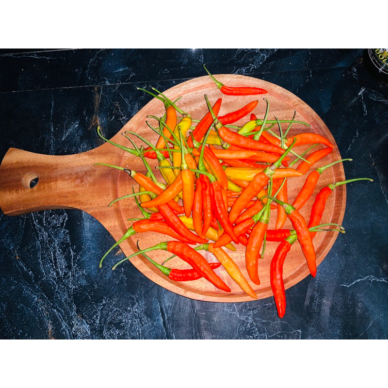 

RwitMerahPedas
