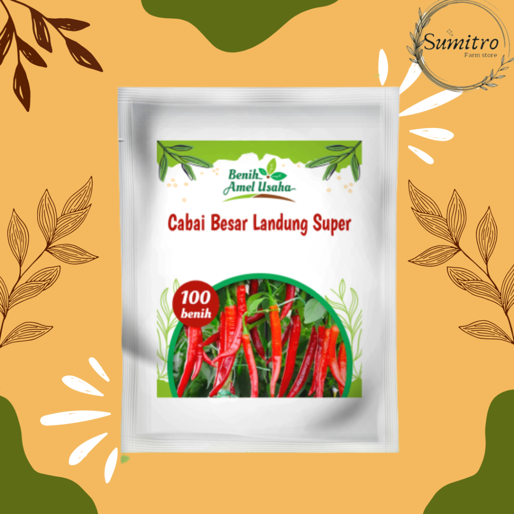 bibit benih cabai merah besar landung super isi 100 benih / benih cabai merah besar / benih sayuran 