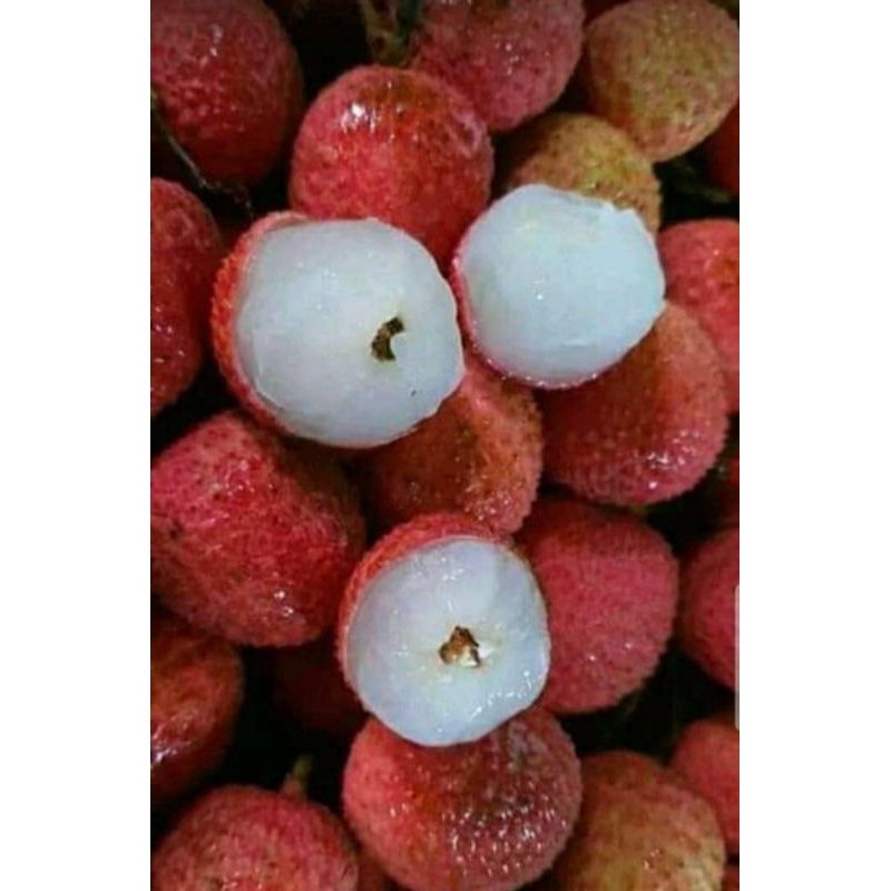 

Buah Leci Merah Fresh, Leci madu , KHUSUS INSTAN KURIR