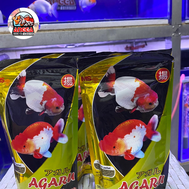 Agaru sinking makanan ikan