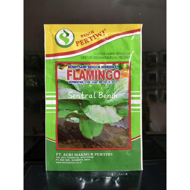 Benih Pakcoy Pokcoy Flamingo F1 10 Gram - Cap Benih Pertiwi
