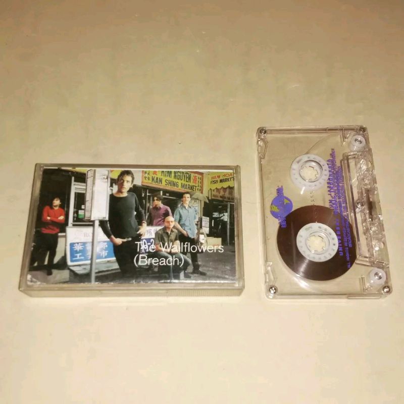 kaset the wallflowers