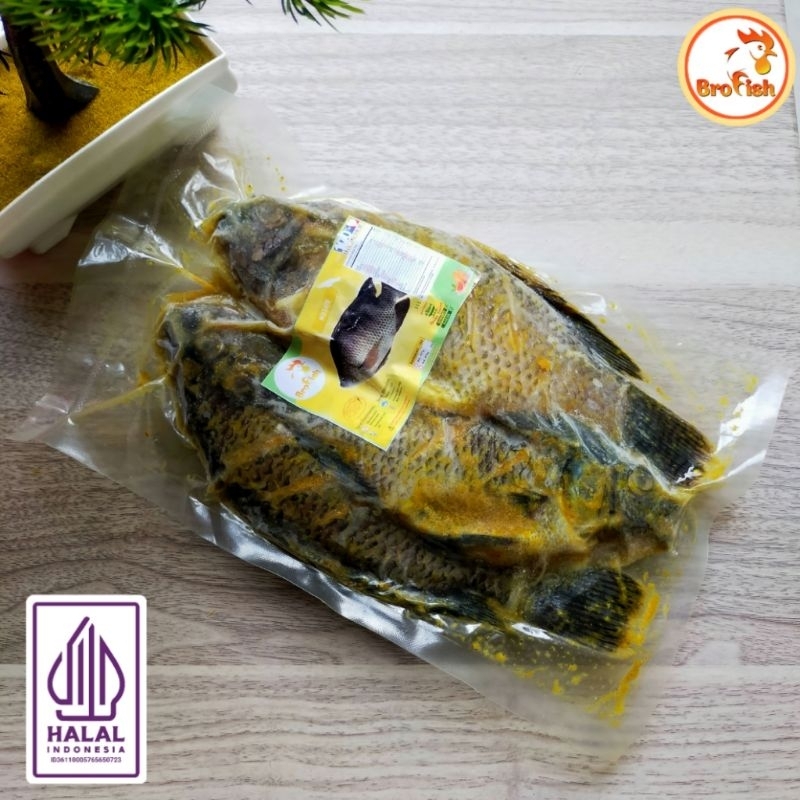 

Brofish - Ikan Mujair Bumbu Kuning (Goreng/Bakar) // Ready To Cook
