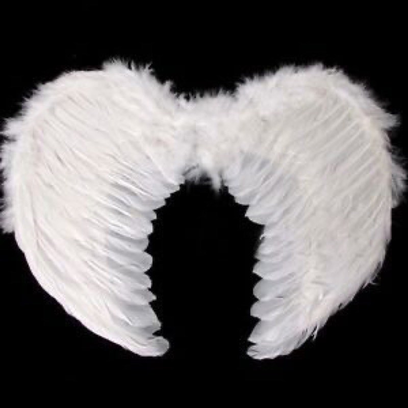 [SPECIAL PRICE] SAYAP MALAIKAT PERI / SAYAP COSPLAY / ANGEL WINGS HALLOWEEN