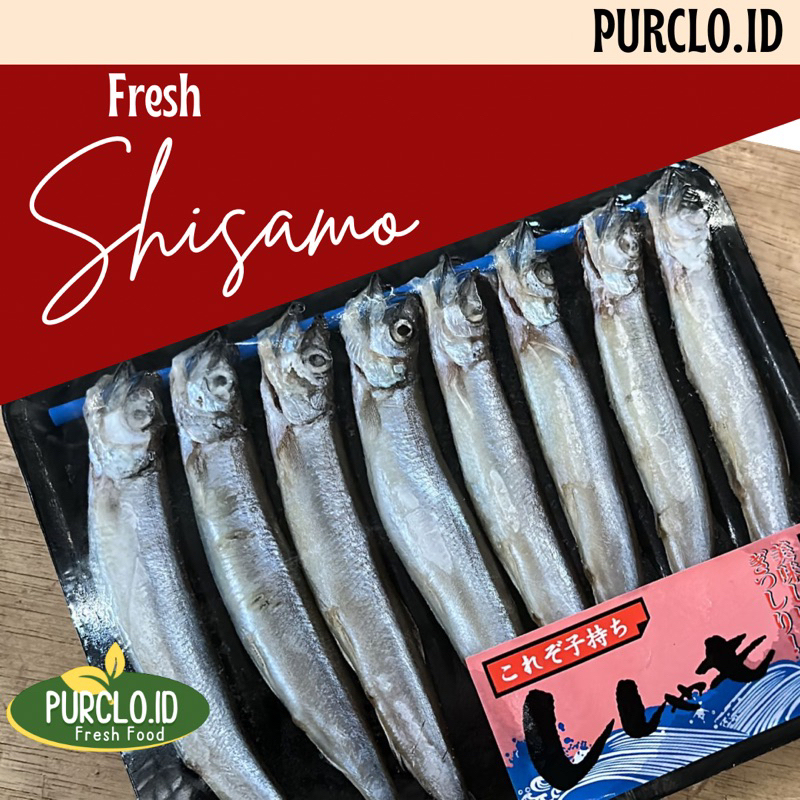 shisamo fish premium / ikan capelin bandung