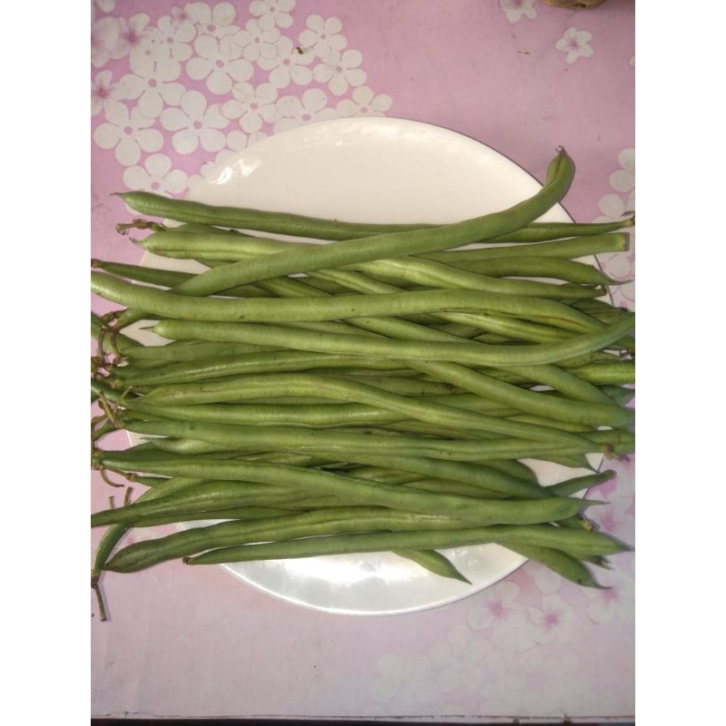 

Buncis segar 500g