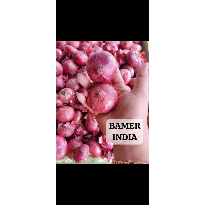 

bawang india