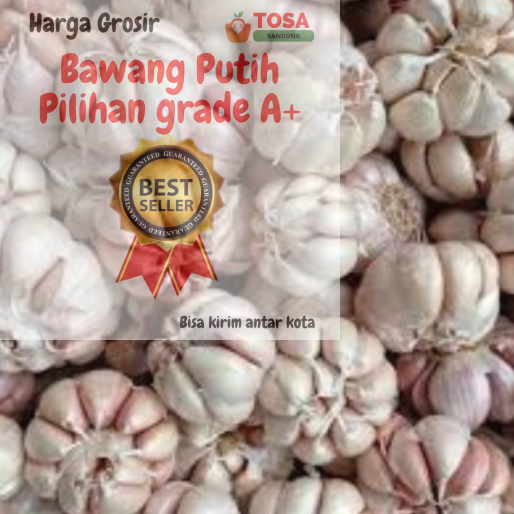 

Bawang Putih kirim antar kota