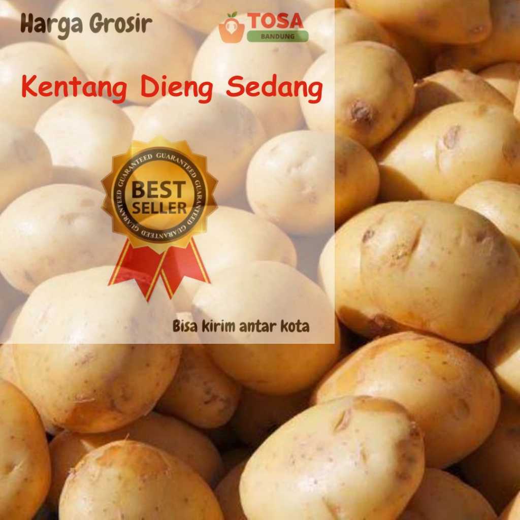 

Kentang Dieng Sedang Kirim Antar Kota