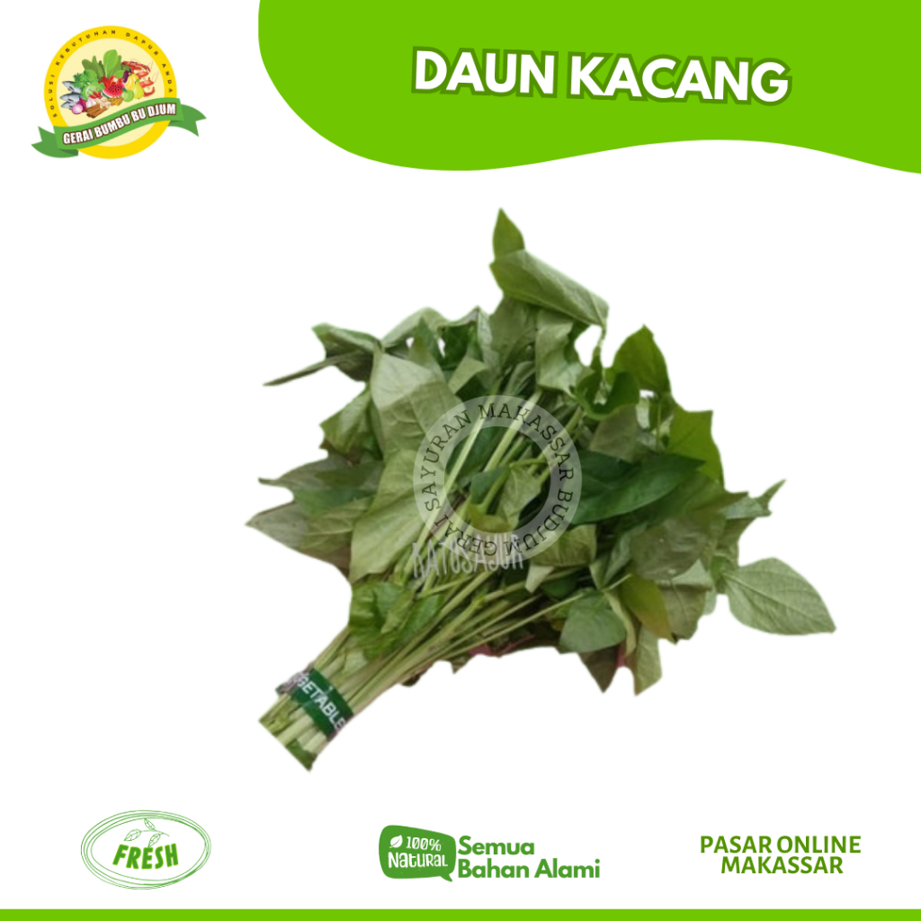 

Sayur Daun Kacang Segar Per Ikat Sedang Sayuran Online Makassar