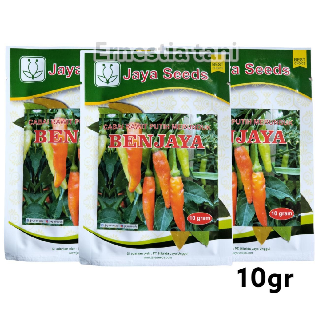 Benih Cabai BENJAYA 10 GR  Bibit Cabe Rawit Merunduk Unggulan Jaya Seed