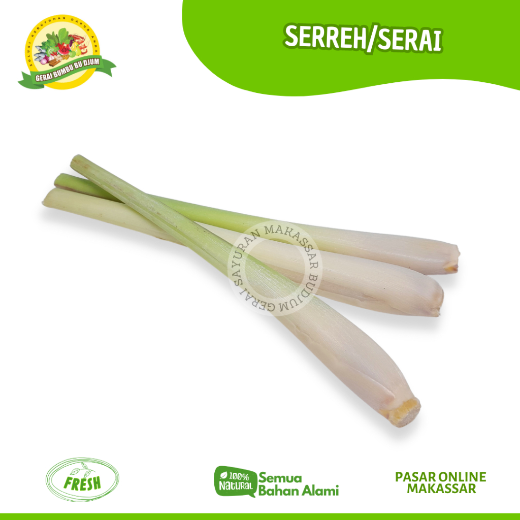 

Sayur Sayuran Rempah Rempah SERREH FRESH PER IKAT Segar Murah Sayuran Online Makassar