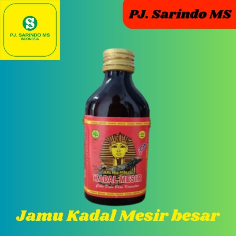 jamu kuat pria helbeh kadal mesir besar