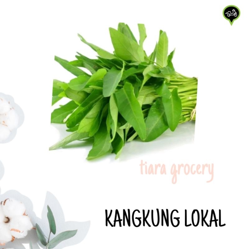 

Kangkung hidroponik / kangkung lokal