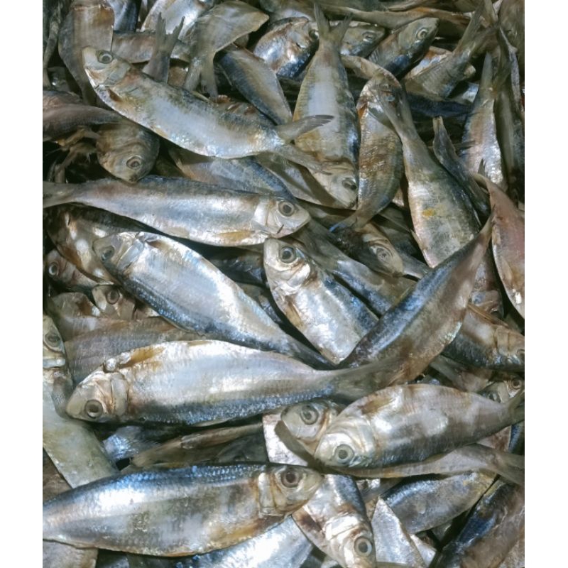 

ikan asin sipil/juwi 500gr