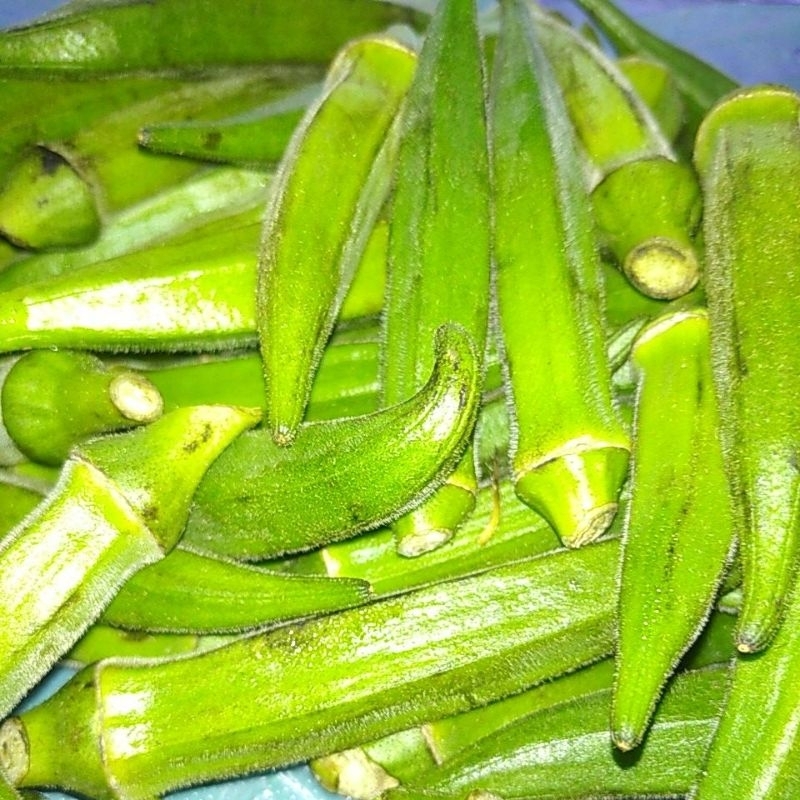 

SAYUR OKRA OKRO ~BENDI ~GUMBO ~LADYS FINGERS