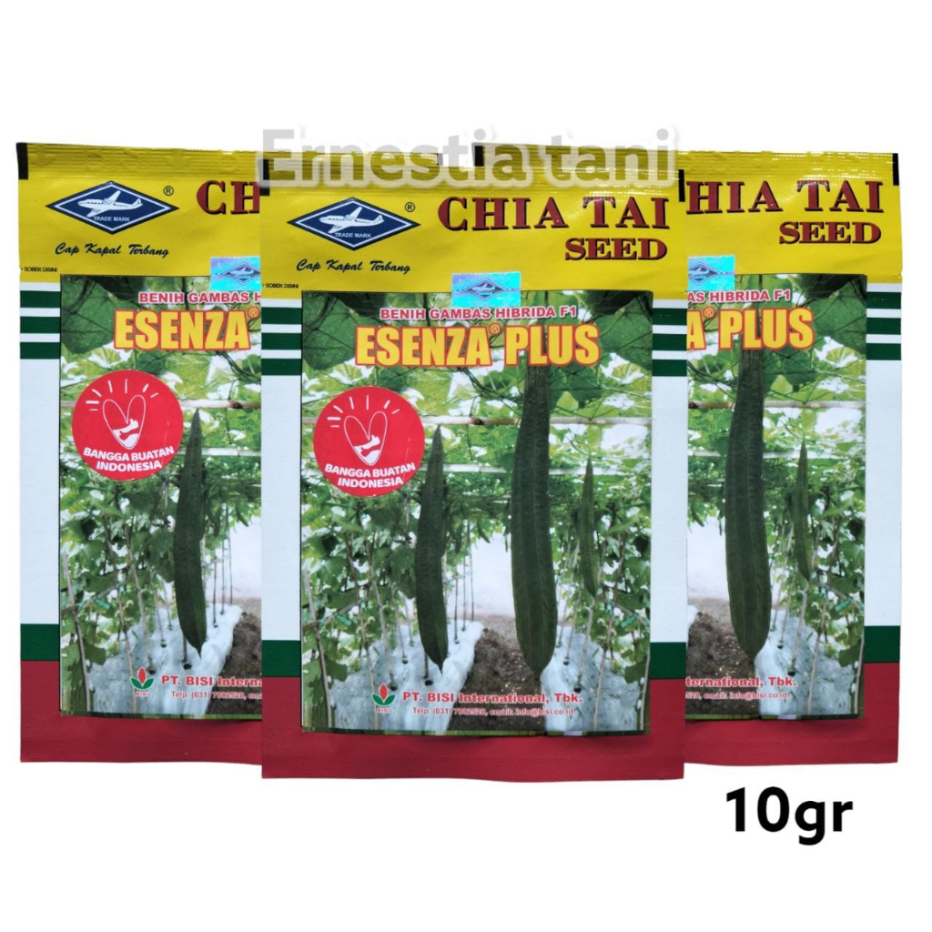 Benih Bibit Gambas oyong ESENZA PLUS 10 gr hibrida f1 Cap kapal Terbang