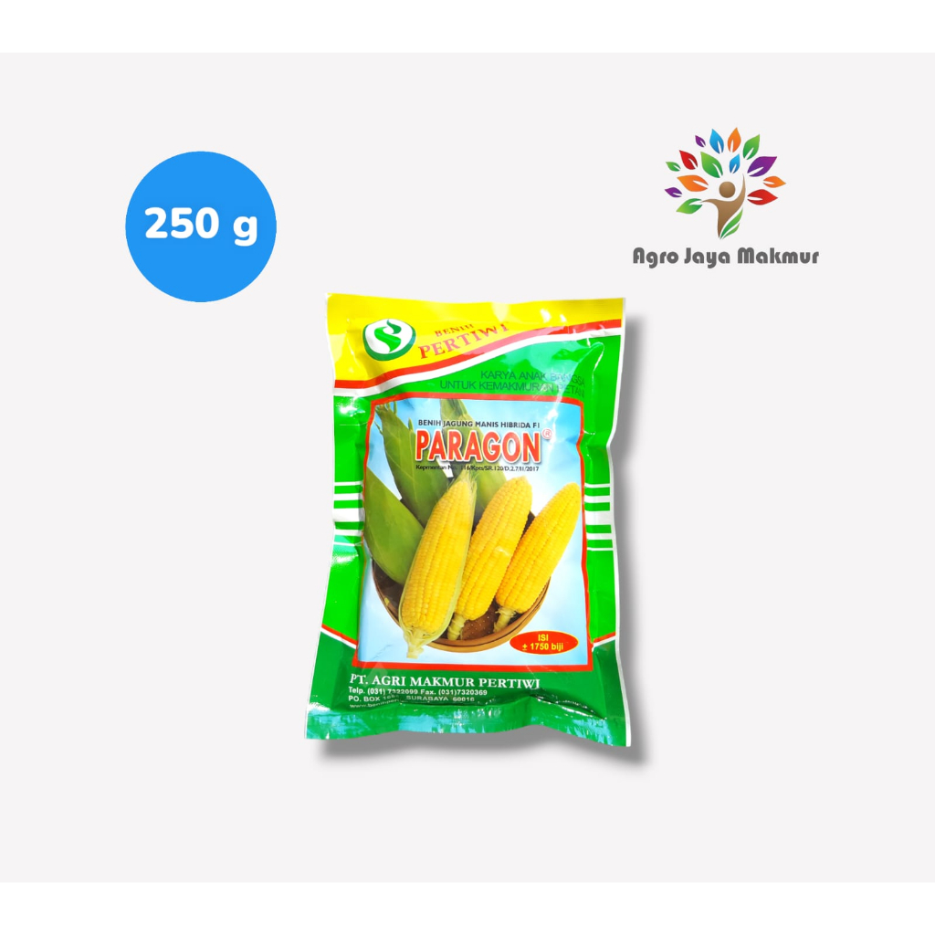Benih JAGUNG MANIS PARAGON isi +/-1750 biji/Paragon 250g -+1750/Benih jagung manis unggul/bibit jagu