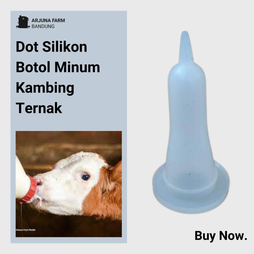Botol Dot Cempe Dot Kambing Botol Susu Kambing Cempe Import Cod Dan Berkualitas
