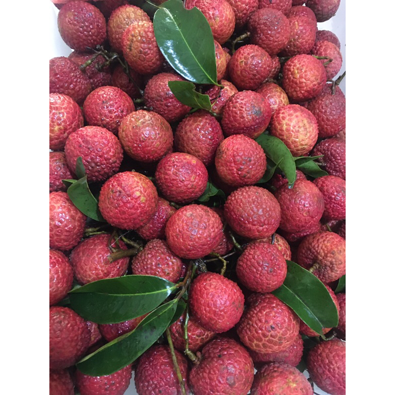 

lychee merah, Leci merah 1kg
