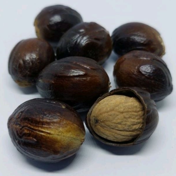 

Biji pala kering 1kg kualitas super