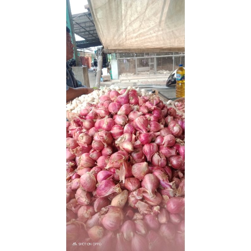 

Bawang Merah super 1kg